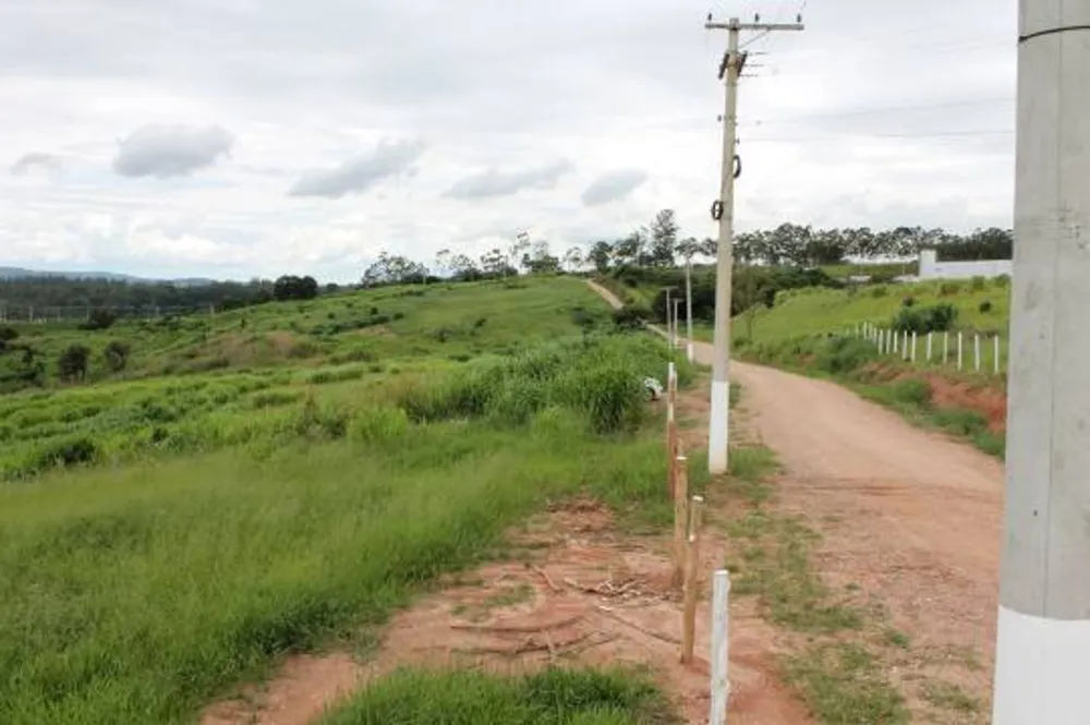 Terreno, 9 hectares - Foto 6