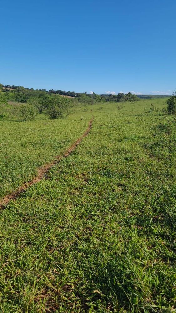 Terreno à venda, 64000m² - Foto 1