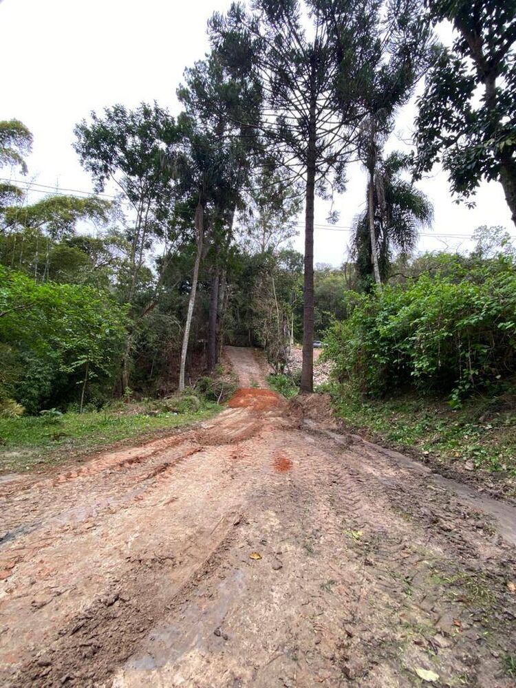 Terreno, 9000 m² - Foto 3
