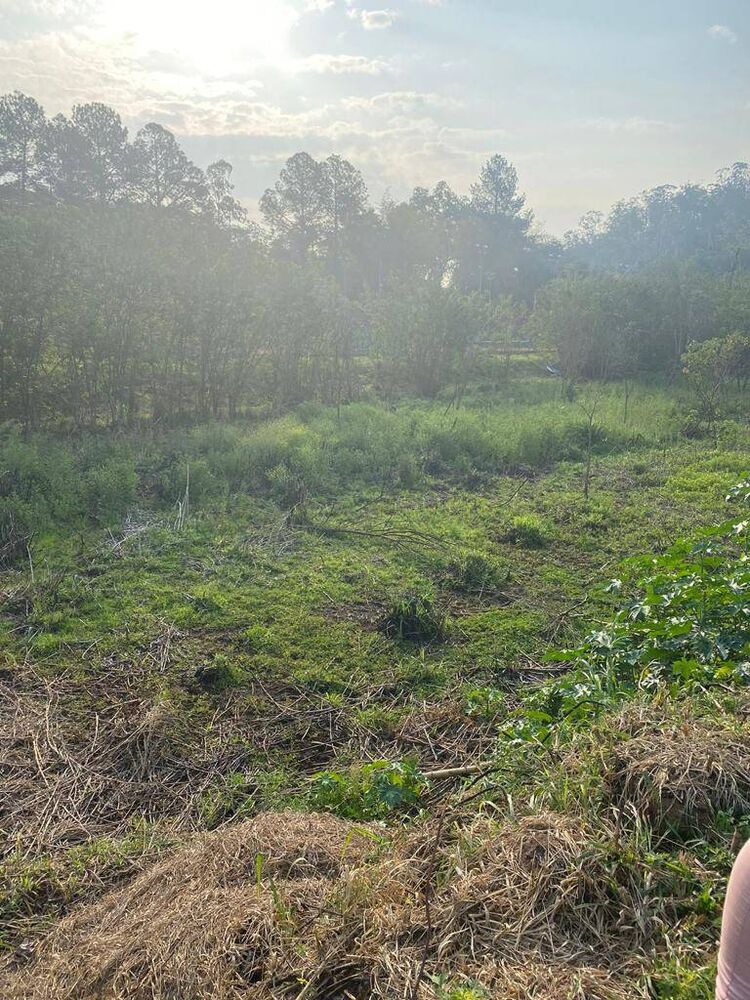 Terreno, 1262 m² - Foto 3