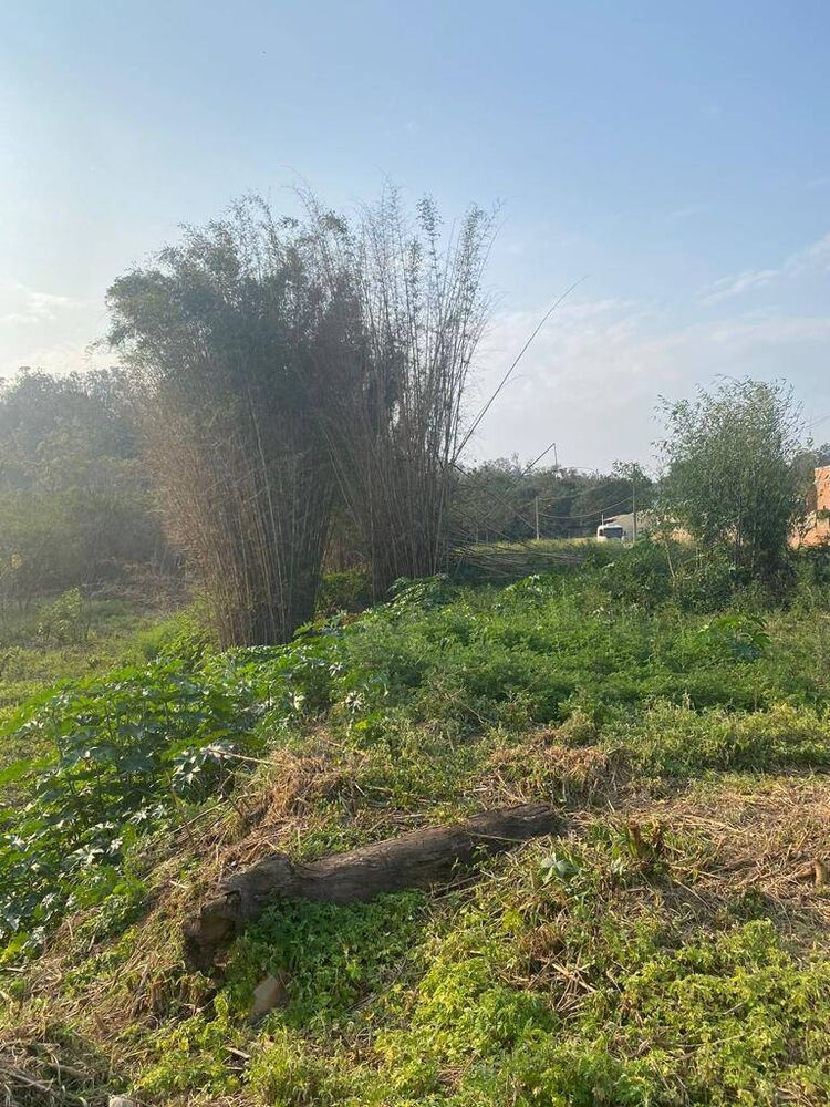 Terreno, 1262 m² - Foto 2