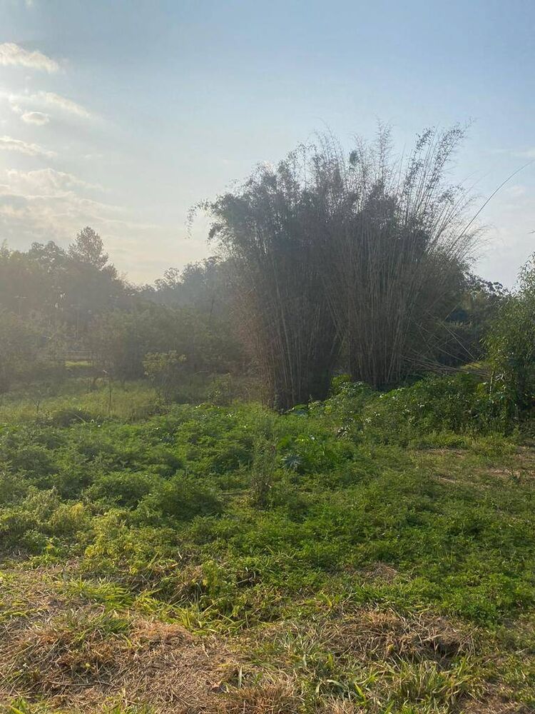 Terreno, 1262 m² - Foto 4