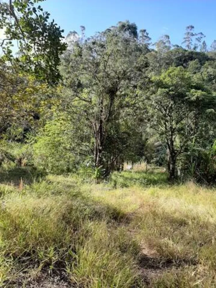 Chácara, 2 quartos, 2 hectares - Foto 10