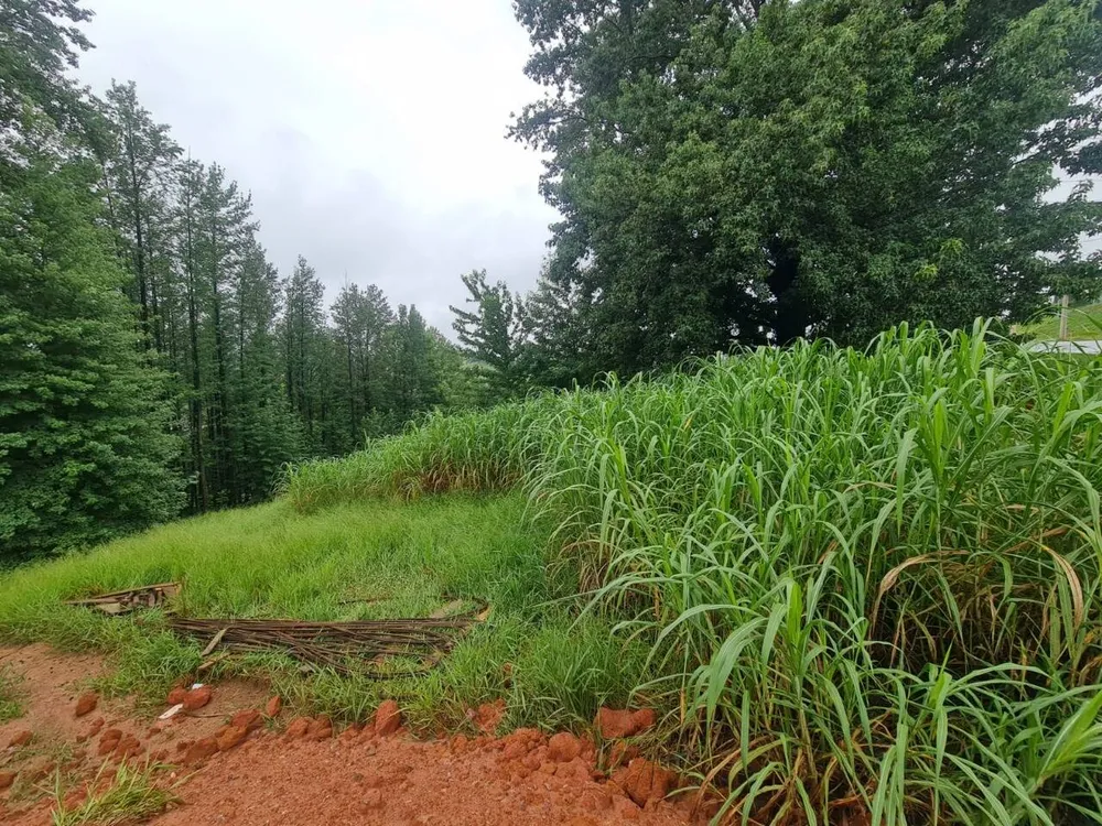 Terreno, 1000 m² - Foto 12