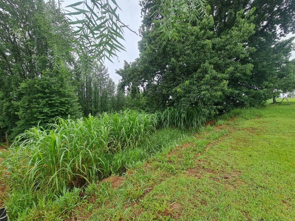 Terreno à venda, 1000m² - Foto 2