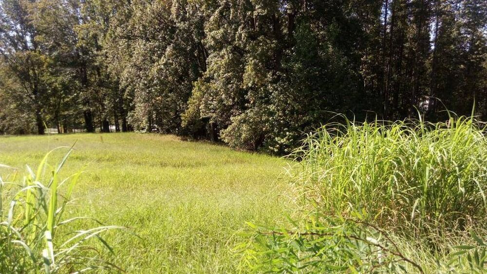 Terreno à venda, 1000m² - Foto 1