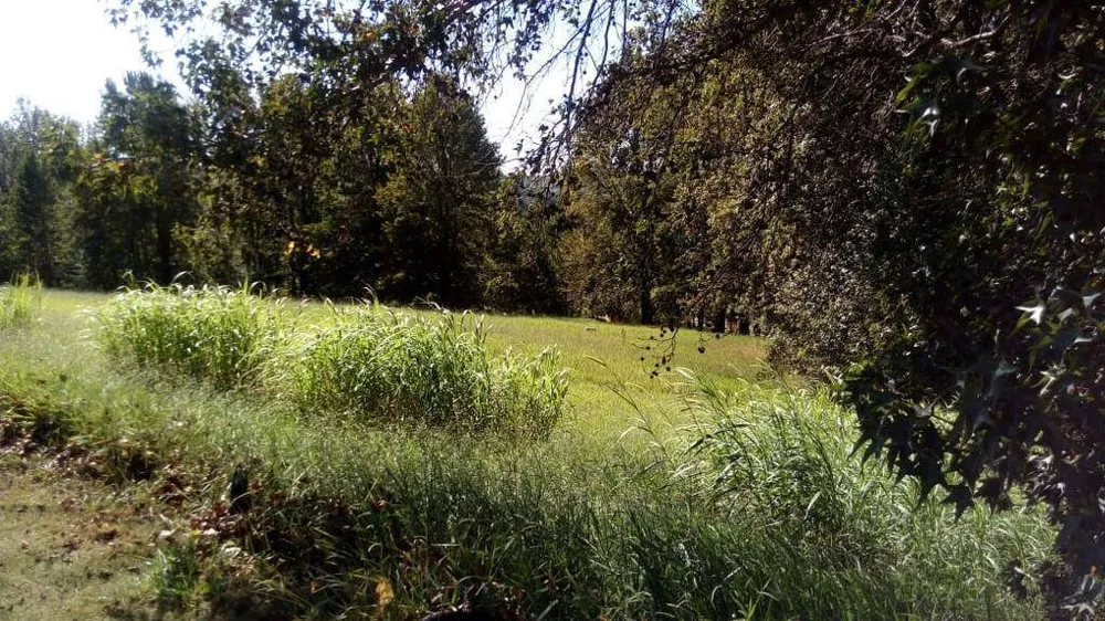Terreno, 1000 m² - Foto 3