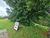 Terreno, 1000 m² - Foto 3