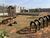 Terreno, 300 m² - Foto 4