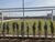 Terreno, 300 m² - Foto 6