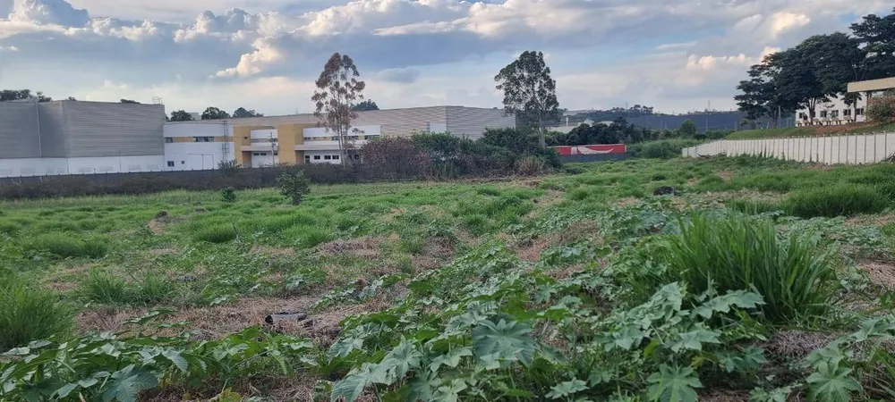 Terreno, 1 hectares - Foto 3