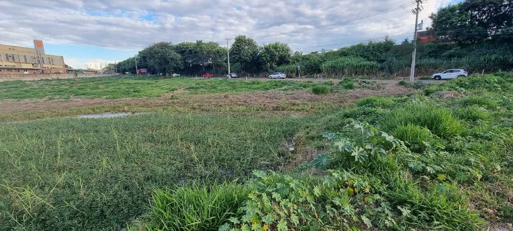Terreno, 1 hectares - Foto 7