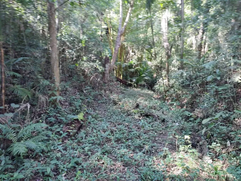Terreno, 5250 m² - Foto 13