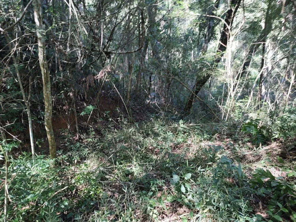 Terreno, 5250 m² - Foto 14