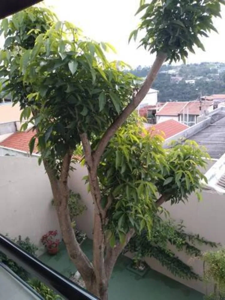 Casa, 3 quartos, 250 m² - Foto 2