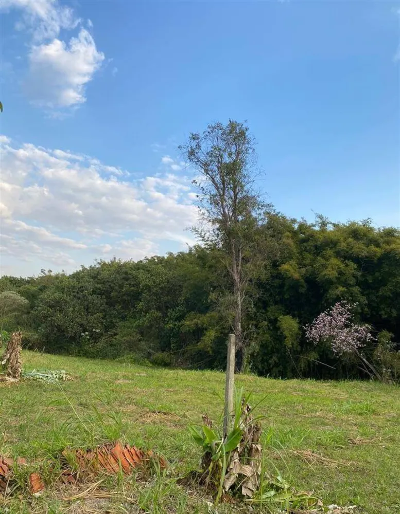 Terreno, 7000 m² - Foto 16
