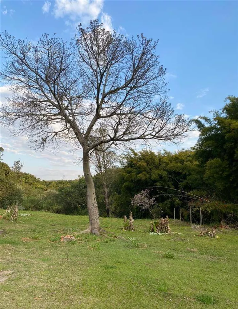 Terreno à venda, 140m² - Foto 4