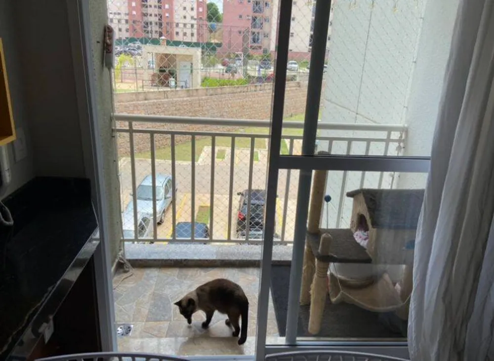 Apartamento, 2 quartos, 62 m² - Foto 4