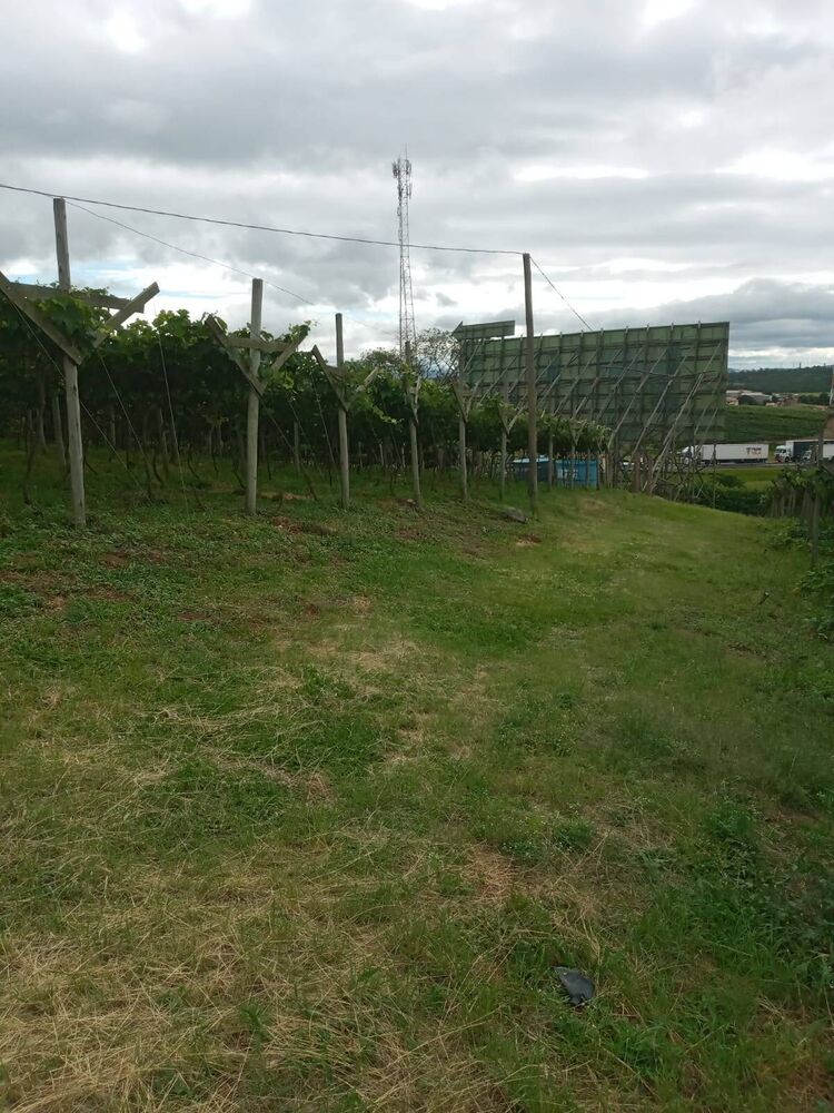 Terreno, 1 hectares - Foto 1