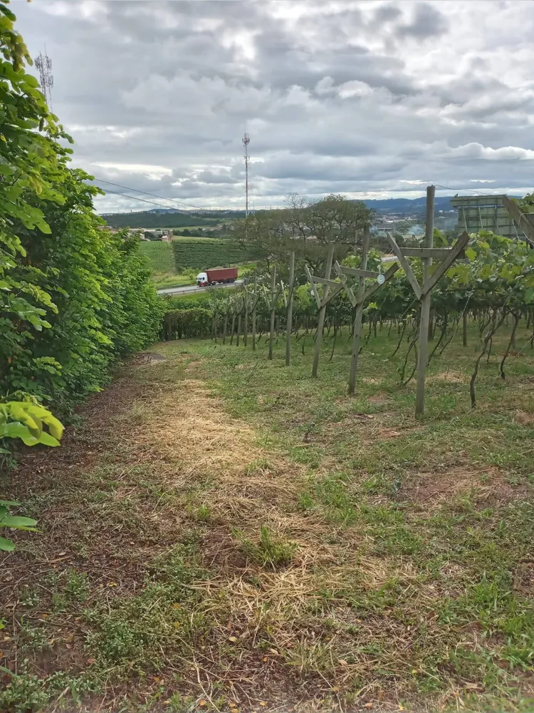 Terreno, 1 hectares - Foto 3