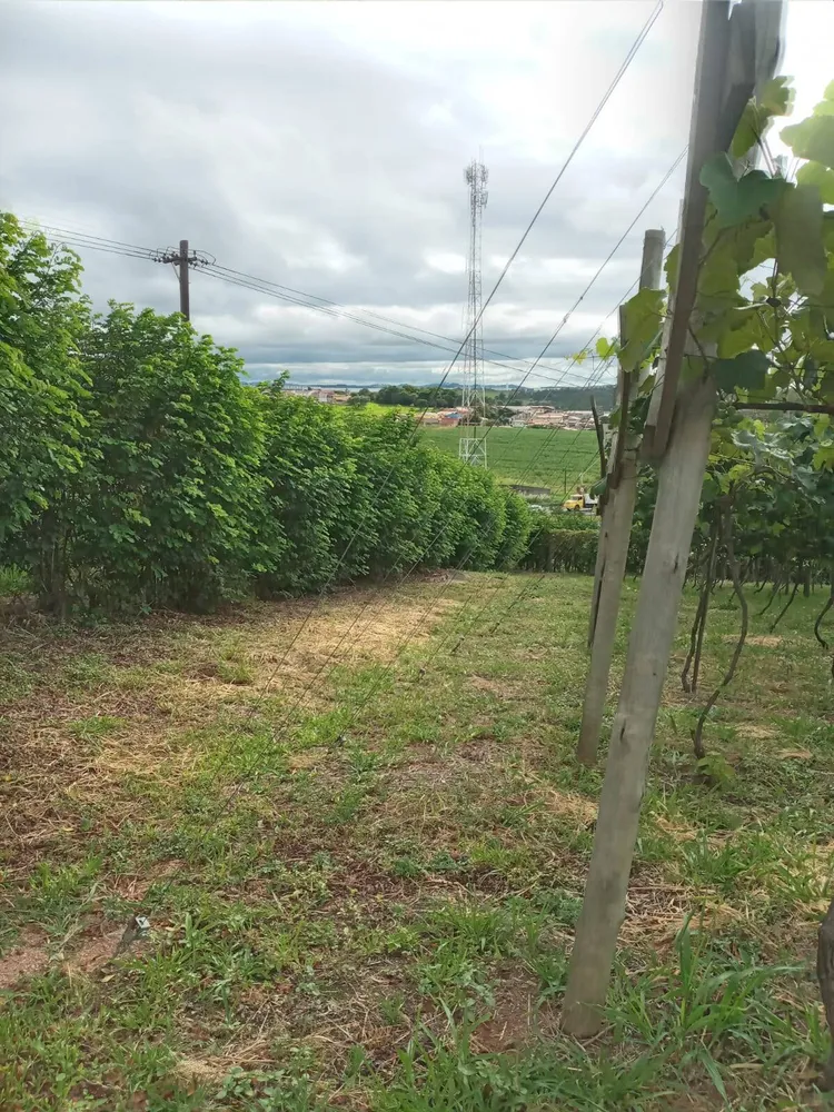 Terreno, 1 hectares - Foto 1
