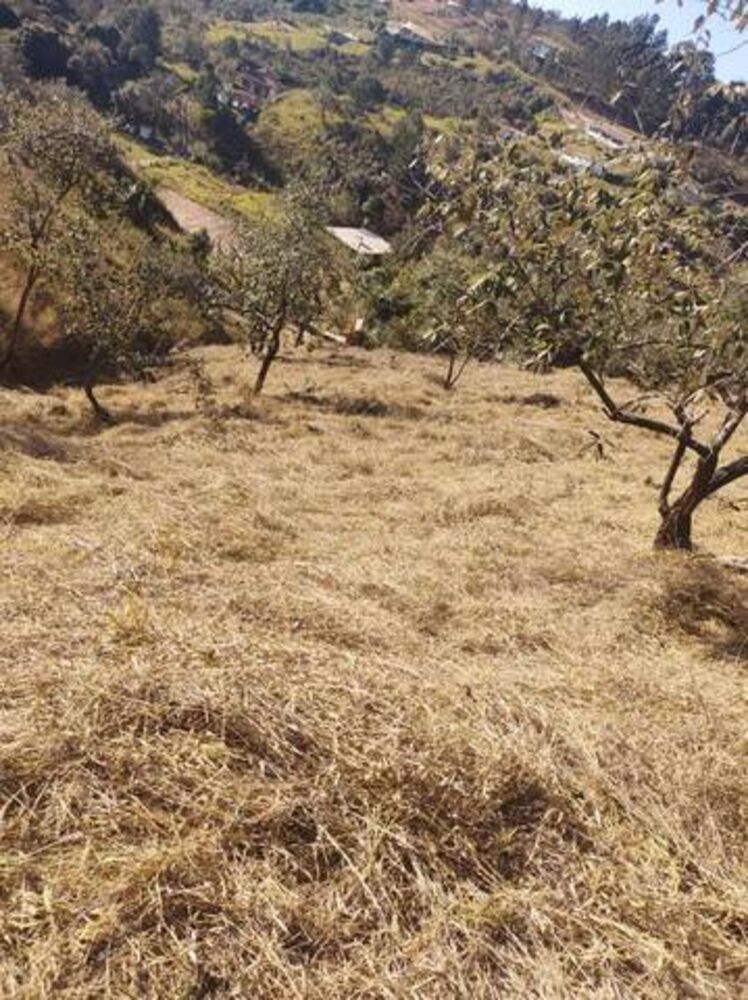 Terreno, 2100 m² - Foto 3
