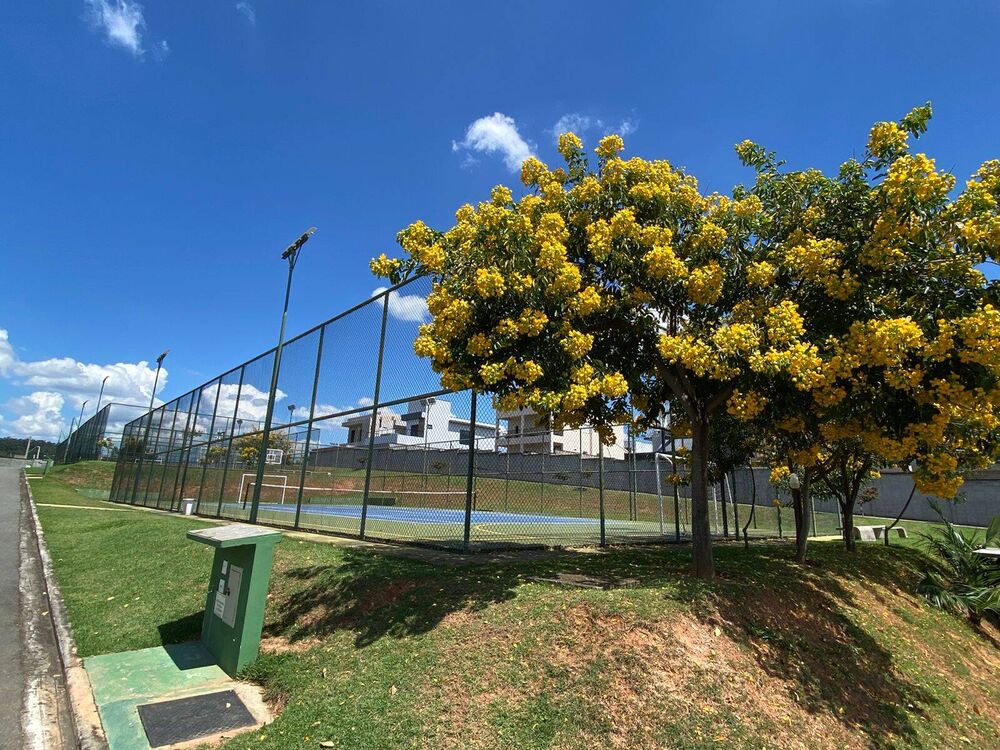 Terreno, 300 m² - Foto 4