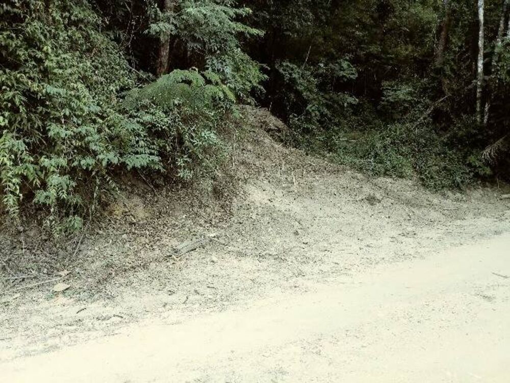 Terreno, 5250 m² - Foto 3