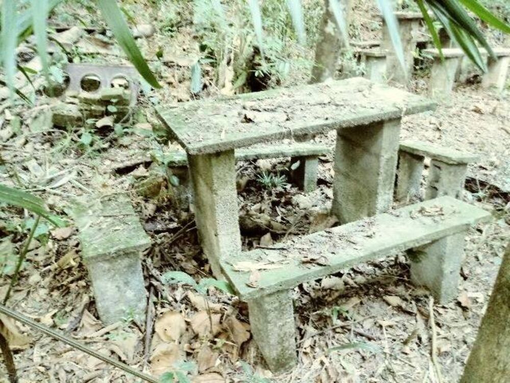 Terreno, 5250 m² - Foto 2