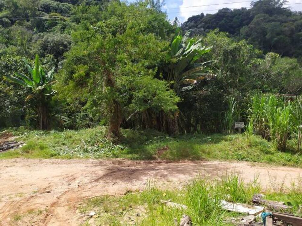 Terreno, 10000 m² - Foto 4