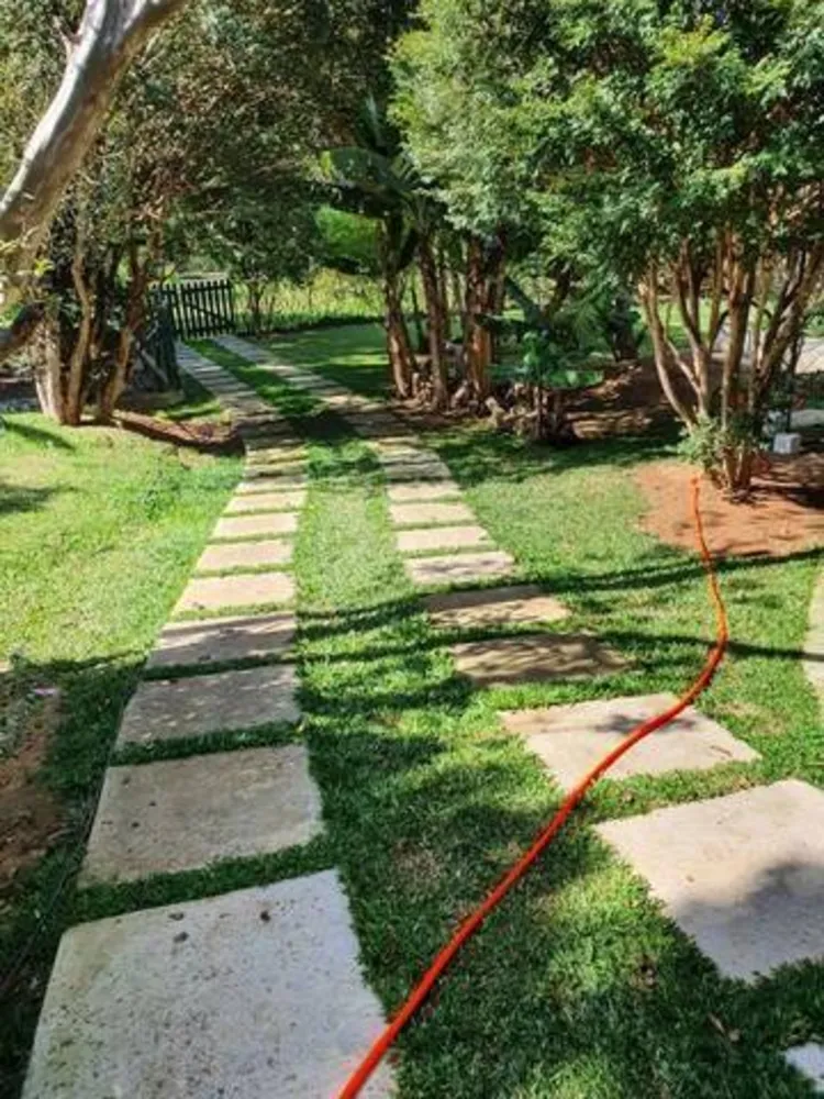 Chácara, 6 quartos, 6360 m² - Foto 5