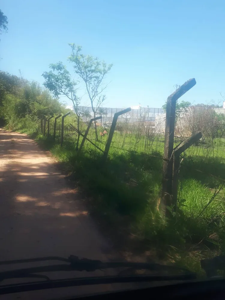 Terreno, 3 hectares - Foto 2
