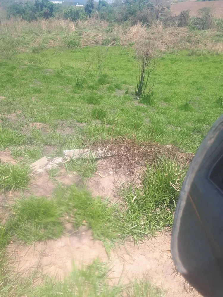 Terreno, 3 hectares - Foto 8