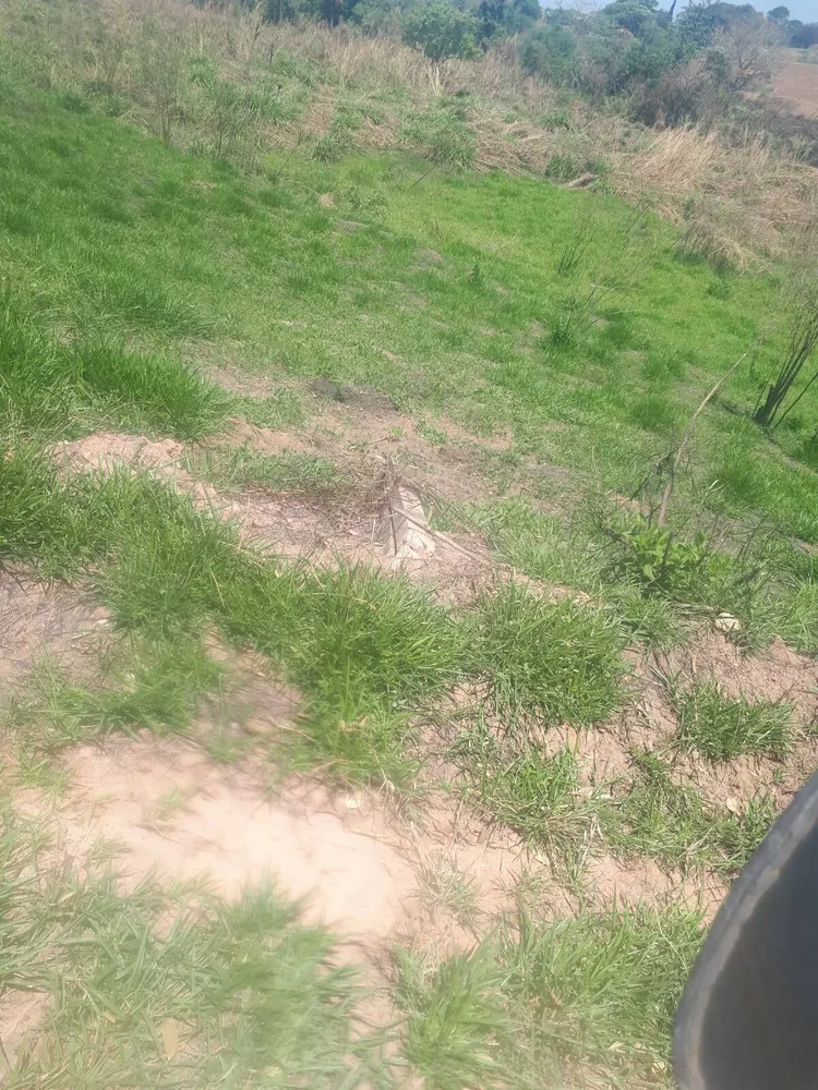 Terreno, 3 hectares - Foto 9