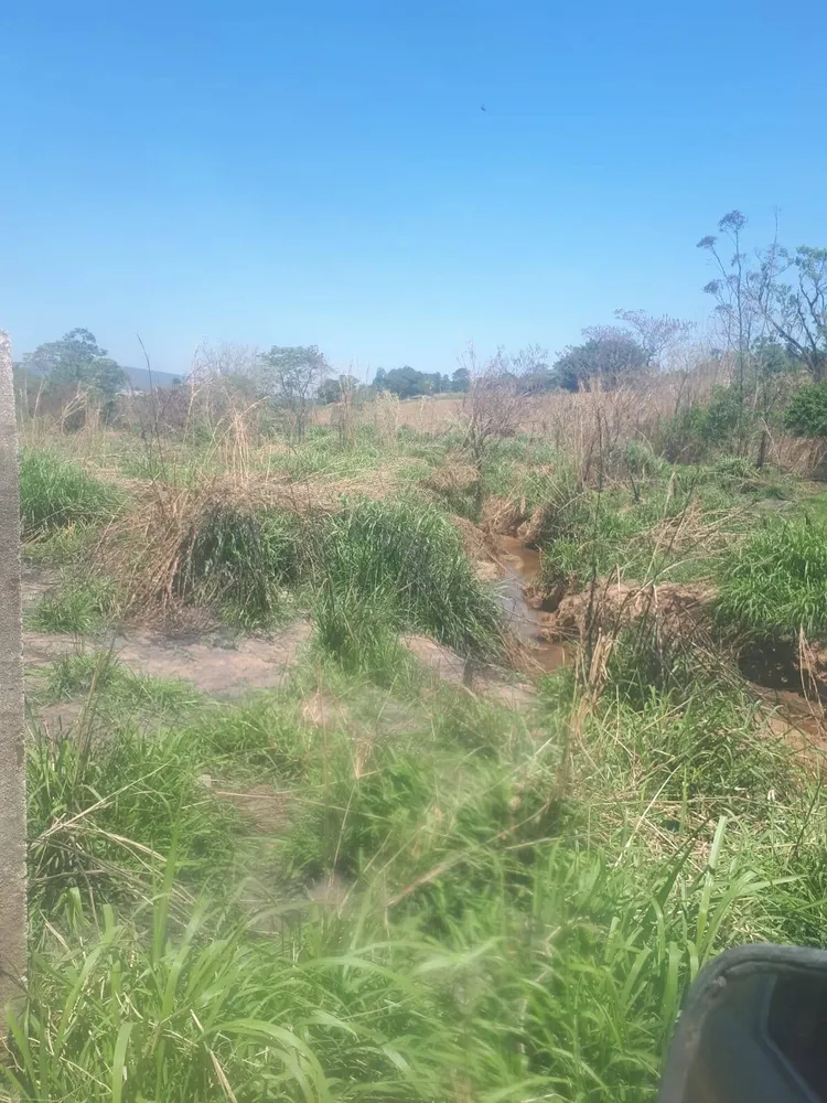 Terreno, 3 hectares - Foto 4
