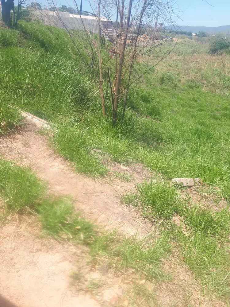 Terreno, 3 hectares - Foto 11
