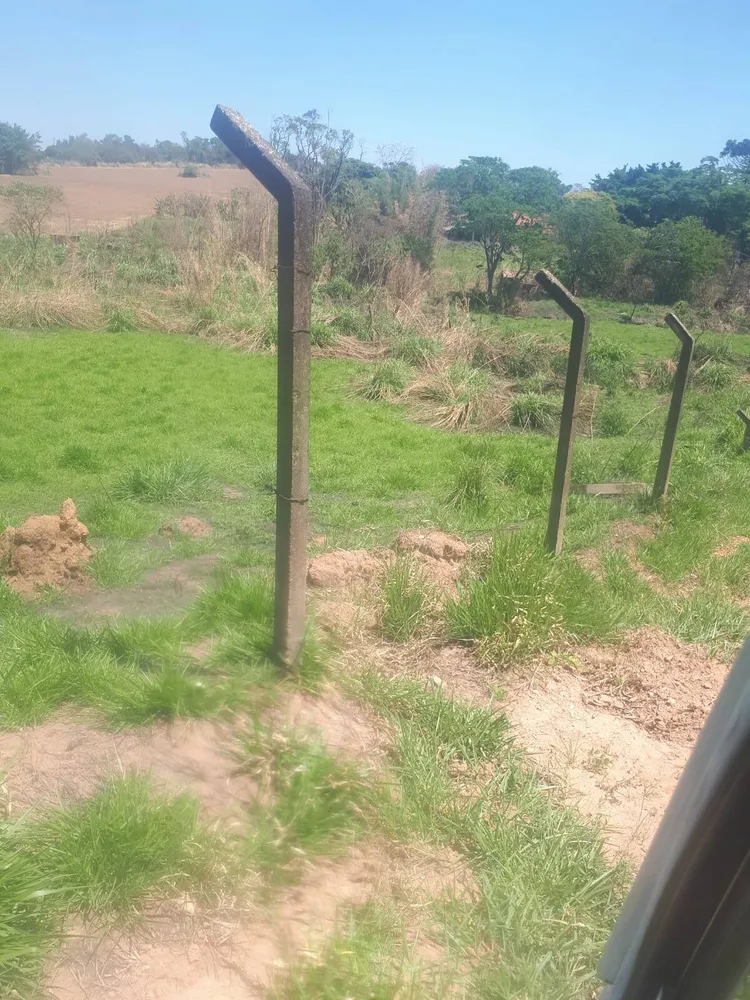 Terreno, 3 hectares - Foto 6