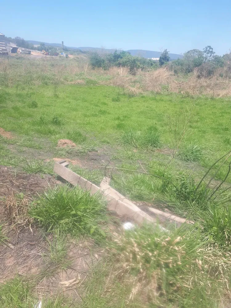Terreno, 3 hectares - Foto 10