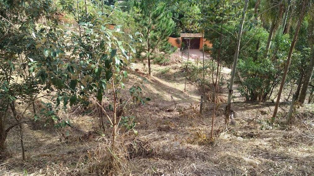 Terreno, 3680 m² - Foto 1