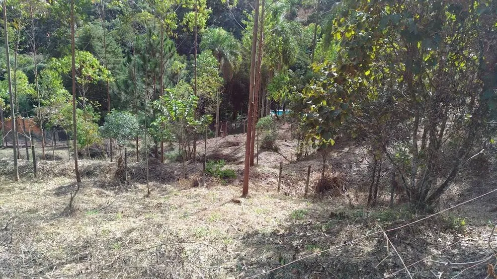 Terreno, 3680 m² - Foto 1