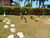 Terreno, 1300 m² - Foto 1