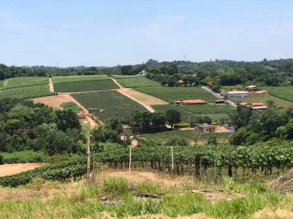 Terreno, 4 hectares - Foto 1