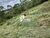 Terreno, 125 m² - Foto 5