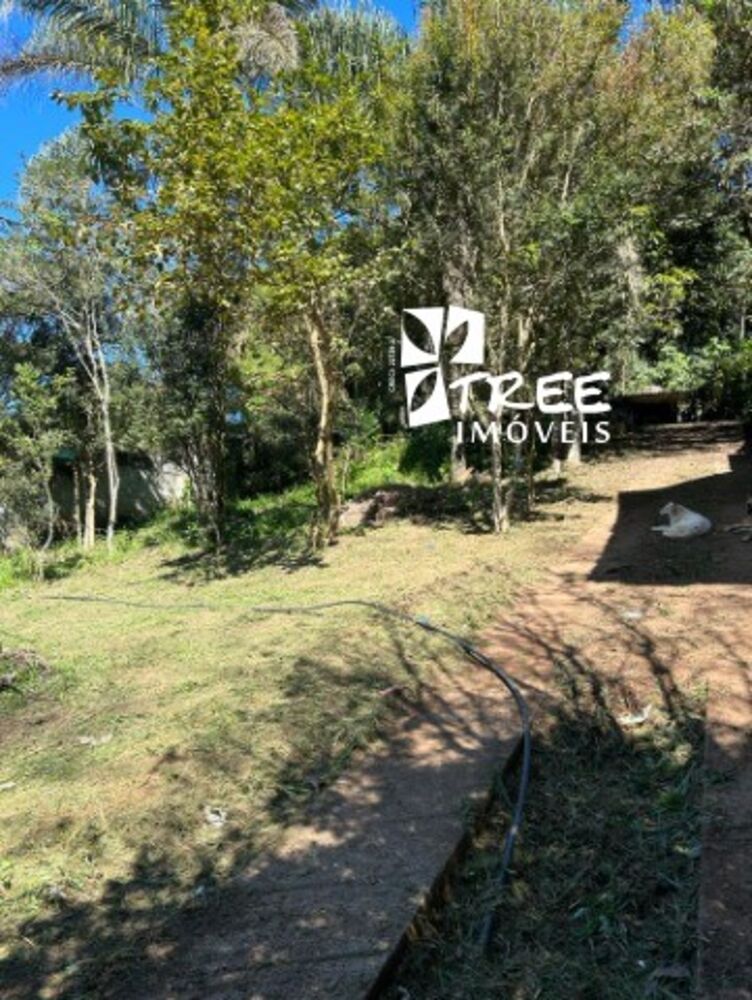 Terreno, 1548 m² - Foto 6