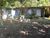 Terreno, 1548 m² - Foto 5
