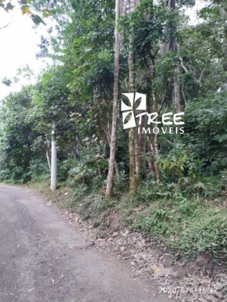 Terreno, 4900 m² - Foto 2