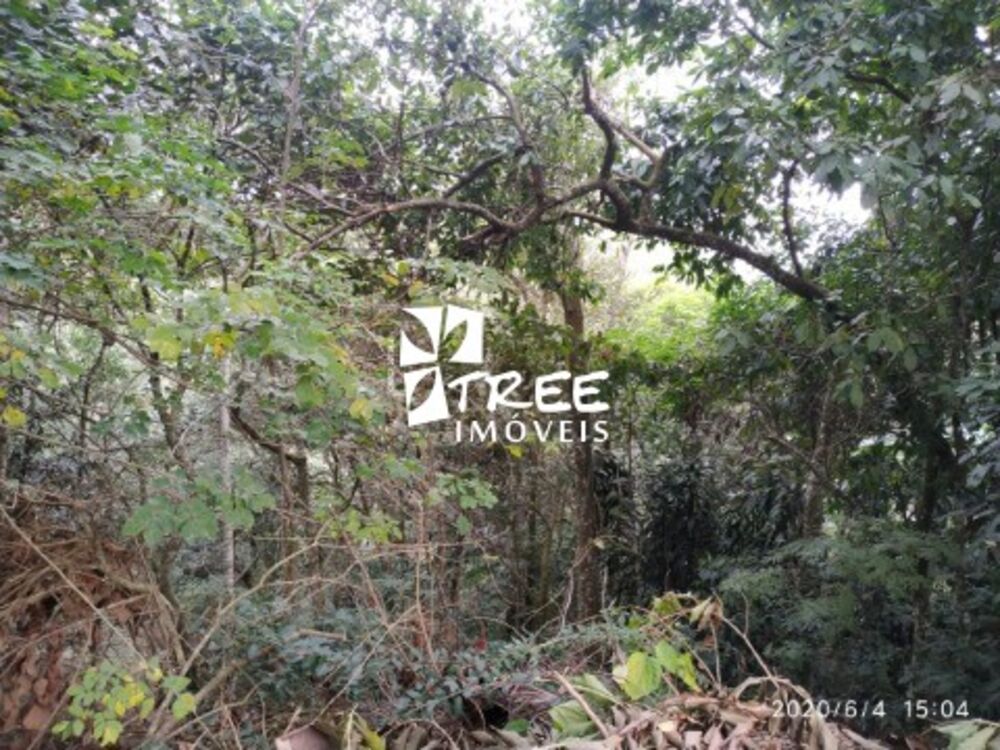 Terreno, 4900 m² - Foto 8