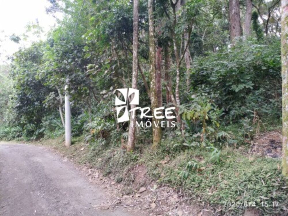 Terreno, 4900 m² - Foto 3