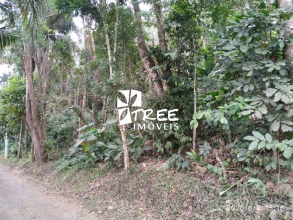 Terreno, 4900 m² - Foto 4