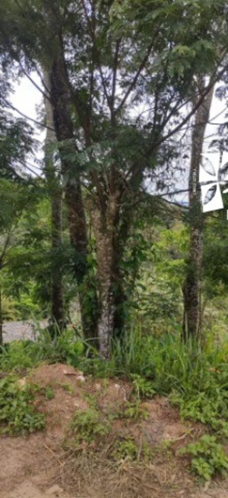 Terreno, 260 m² - Foto 2